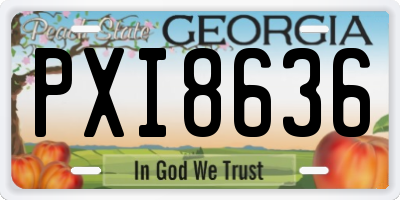 GA license plate PXI8636