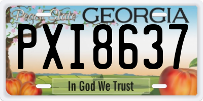 GA license plate PXI8637