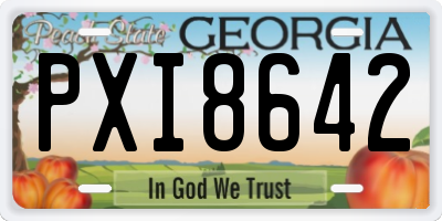 GA license plate PXI8642