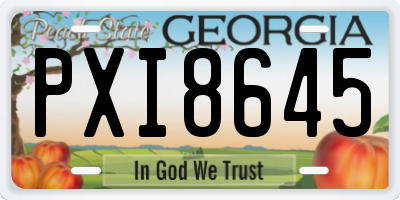 GA license plate PXI8645