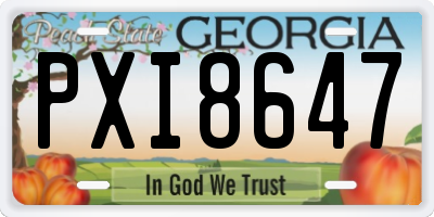 GA license plate PXI8647