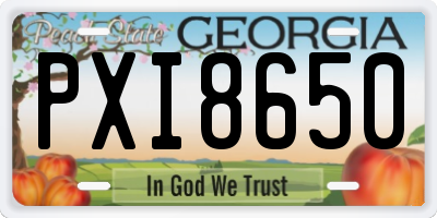 GA license plate PXI8650