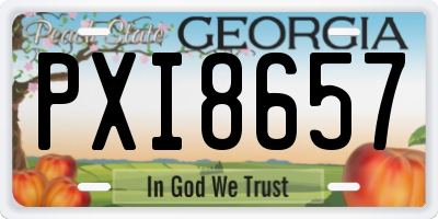 GA license plate PXI8657