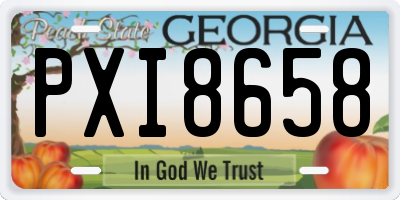 GA license plate PXI8658