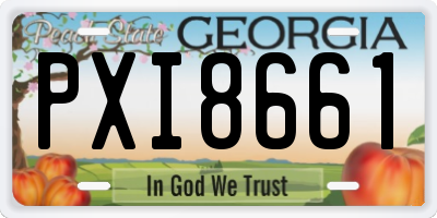 GA license plate PXI8661