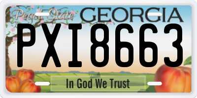 GA license plate PXI8663