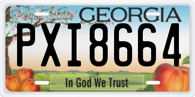 GA license plate PXI8664