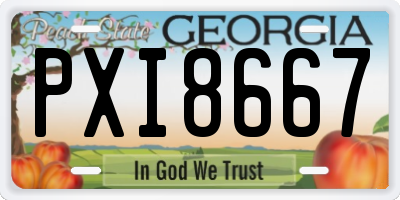 GA license plate PXI8667