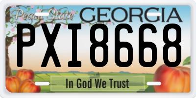 GA license plate PXI8668
