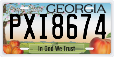 GA license plate PXI8674