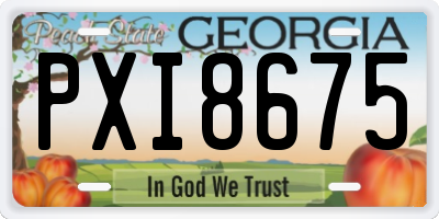GA license plate PXI8675