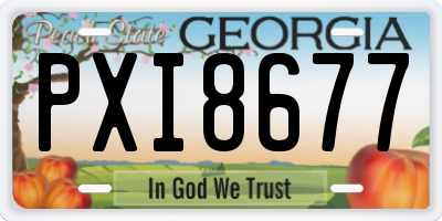 GA license plate PXI8677