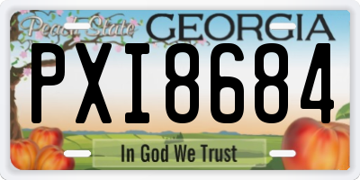GA license plate PXI8684