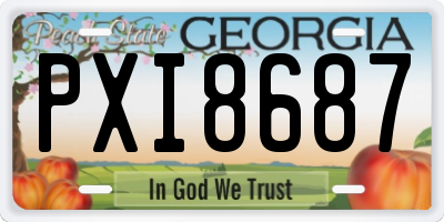 GA license plate PXI8687