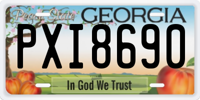 GA license plate PXI8690