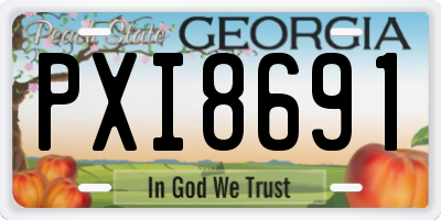 GA license plate PXI8691
