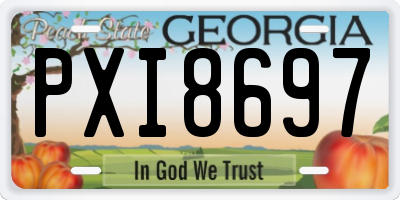 GA license plate PXI8697
