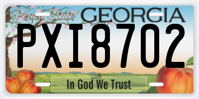 GA license plate PXI8702