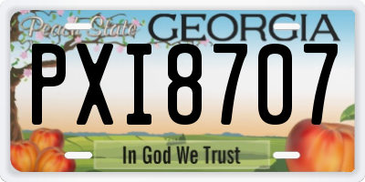 GA license plate PXI8707