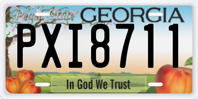 GA license plate PXI8711