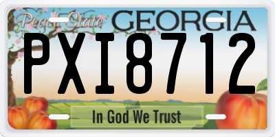 GA license plate PXI8712