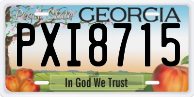 GA license plate PXI8715
