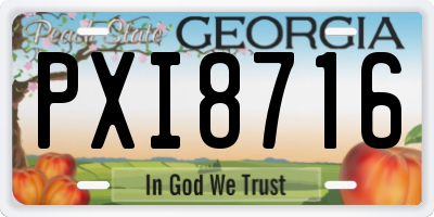 GA license plate PXI8716