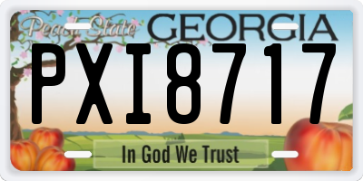 GA license plate PXI8717