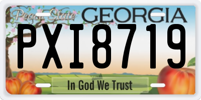 GA license plate PXI8719