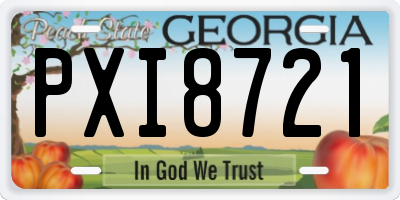 GA license plate PXI8721