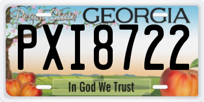 GA license plate PXI8722