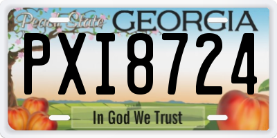 GA license plate PXI8724
