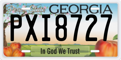 GA license plate PXI8727