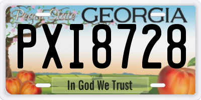 GA license plate PXI8728
