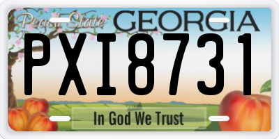 GA license plate PXI8731