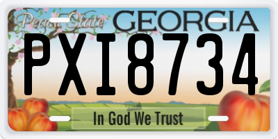 GA license plate PXI8734