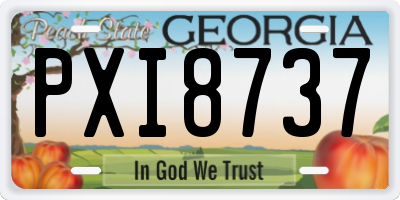 GA license plate PXI8737