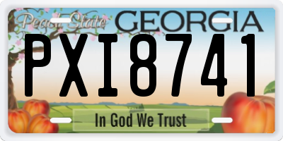 GA license plate PXI8741