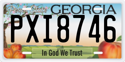 GA license plate PXI8746
