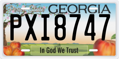 GA license plate PXI8747