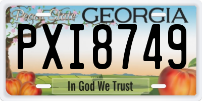 GA license plate PXI8749