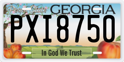 GA license plate PXI8750