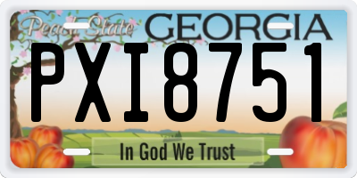 GA license plate PXI8751