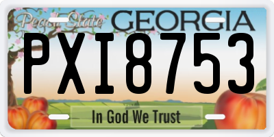 GA license plate PXI8753
