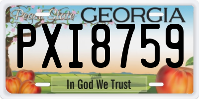 GA license plate PXI8759