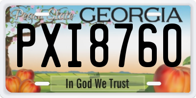 GA license plate PXI8760