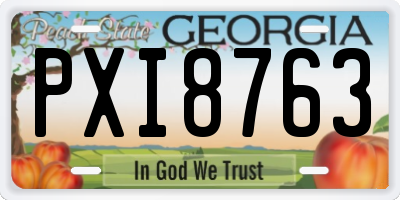 GA license plate PXI8763