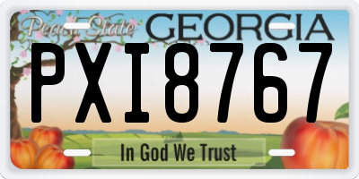 GA license plate PXI8767