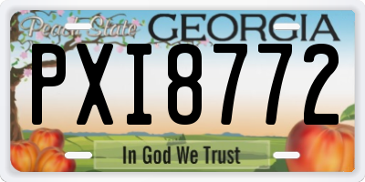 GA license plate PXI8772