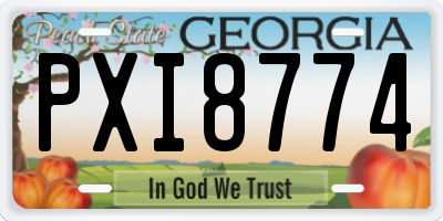GA license plate PXI8774